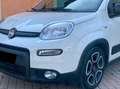 Fiat Panda Panda 1.0 hybrid City Life +IVA 5Posti AZIENDALE Bianco - thumbnail 7