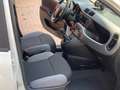 Fiat Panda Panda 1.0 hybrid City Life +IVA 5Posti AZIENDALE Bianco - thumbnail 4