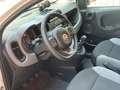 Fiat Panda Panda 1.0 hybrid City Life +IVA 5Posti AZIENDALE Bianco - thumbnail 2