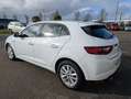 Renault Megane 1.5 DCI 110CH ENERGY INTENS EDC Blanc - thumbnail 12