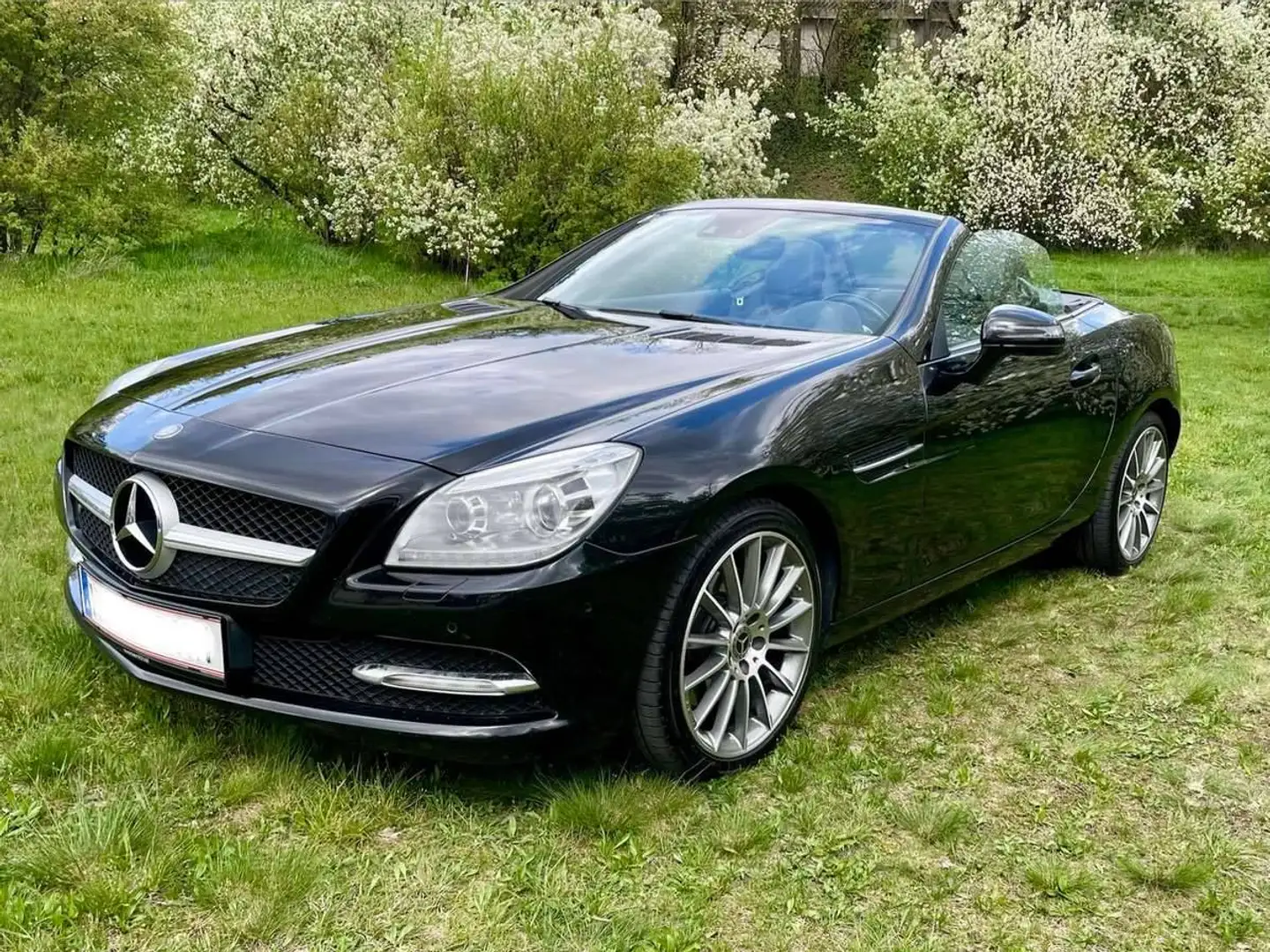 Mercedes-Benz SLK 250 SLK 250 Automatik Cabrio / Roadster Schwarz - 1