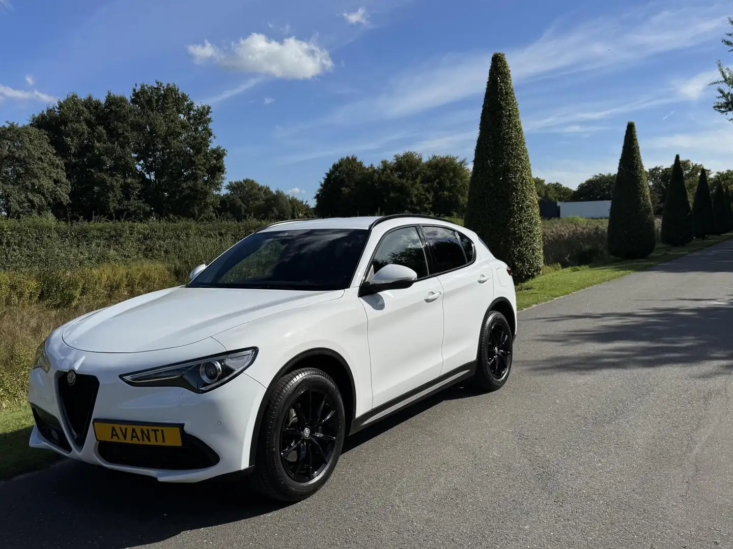 Alfa Romeo Stelvio 2.0t 280pk Q4 Veloce, 124dkm, 19inch Blanc - 2