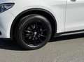 Alfa Romeo Stelvio 2.0t 280pk Q4 Veloce, 124dkm, 19inch Wit - thumbnail 20