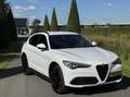 Alfa Romeo Stelvio 2.0t 280pk Q4 Veloce, 124dkm, 19inch Wit - thumbnail 27