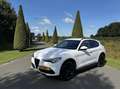 Alfa Romeo Stelvio 2.0t 280pk Q4 Veloce, 124dkm, 19inch Wit - thumbnail 43