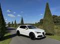 Alfa Romeo Stelvio 2.0t 280pk Q4 Veloce, 124dkm, 19inch Wit - thumbnail 47