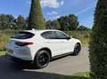 Alfa Romeo Stelvio 2.0t 280pk Q4 Veloce, 124dkm, 19inch Wit - thumbnail 48