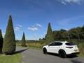 Alfa Romeo Stelvio 2.0t 280pk Q4 Veloce, 124dkm, 19inch Wit - thumbnail 38