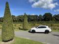 Alfa Romeo Stelvio 2.0t 280pk Q4 Veloce, 124dkm, 19inch Wit - thumbnail 41