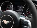 Ford Mustang 5.0 Mustang GT Autom. Leder Xenon Burdeos - thumbnail 11