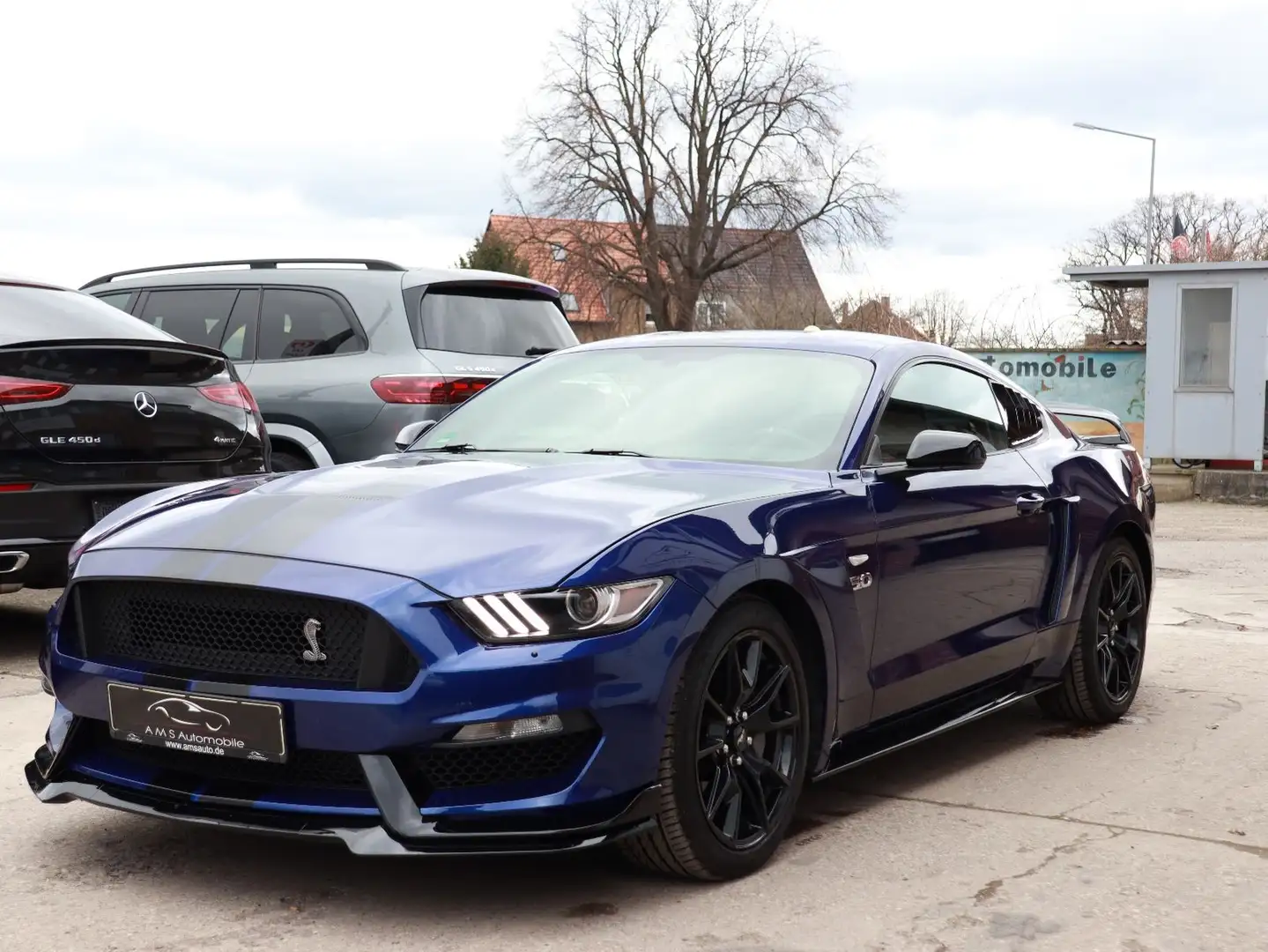 Ford Mustang 5.0 Mustang GT Autom. Leder Xenon Fioletowy - 1