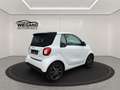 smart forTwo fortwo cabrio+EQ+passion+Sitzheizung+ALU+ - thumbnail 5