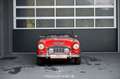Austin Healey 3000 MK III Rouge - thumbnail 9