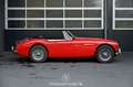 Austin Healey 3000 MK III Rot - thumbnail 11