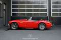 Austin Healey 3000 MK III Rouge - thumbnail 12