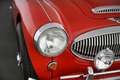 Austin Healey 3000 MK III Rot - thumbnail 27
