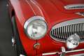 Austin Healey 3000 MK III Rot - thumbnail 27