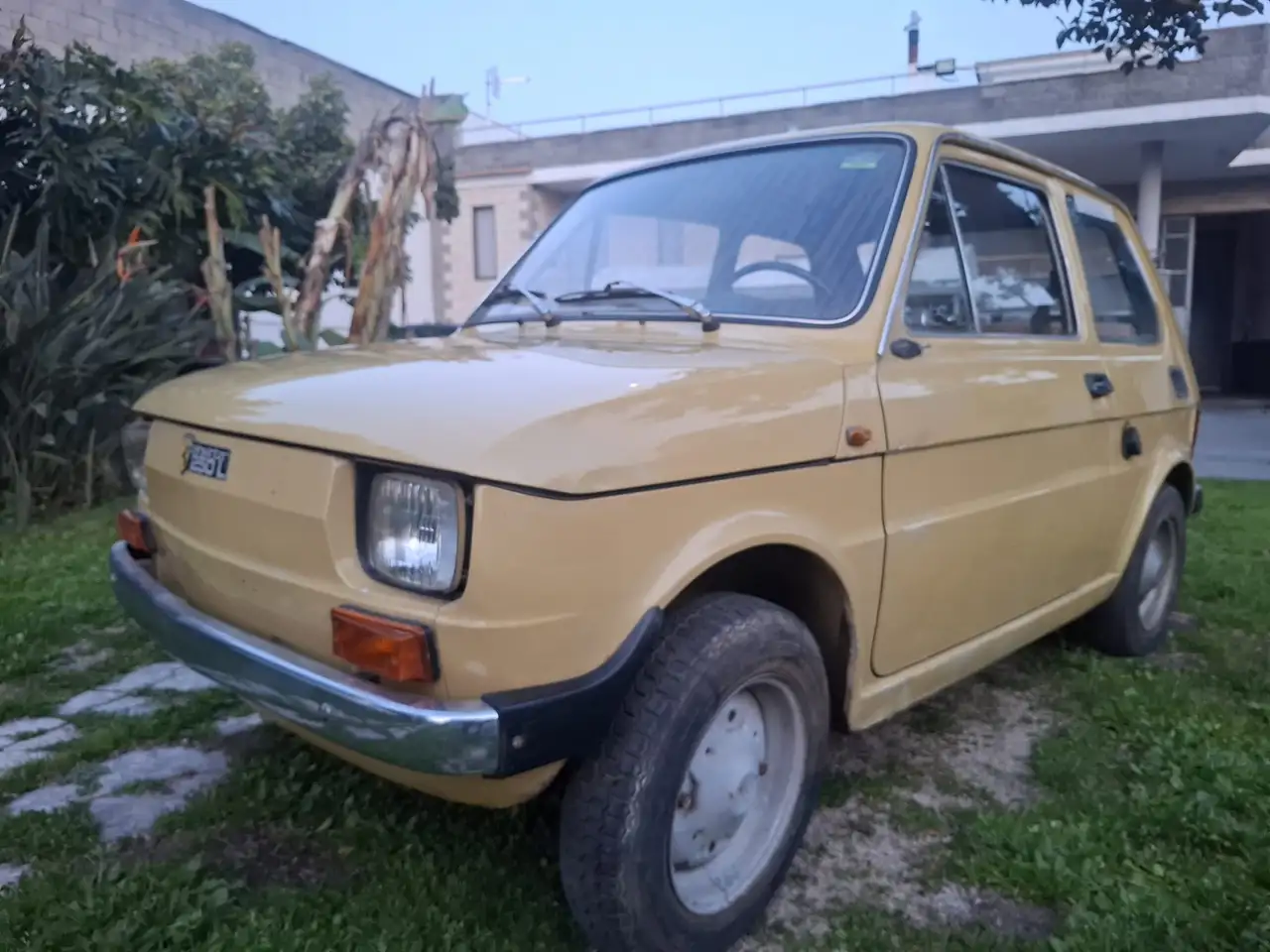 FIAT 126 Steinwinter FIGO 250L, foto 12