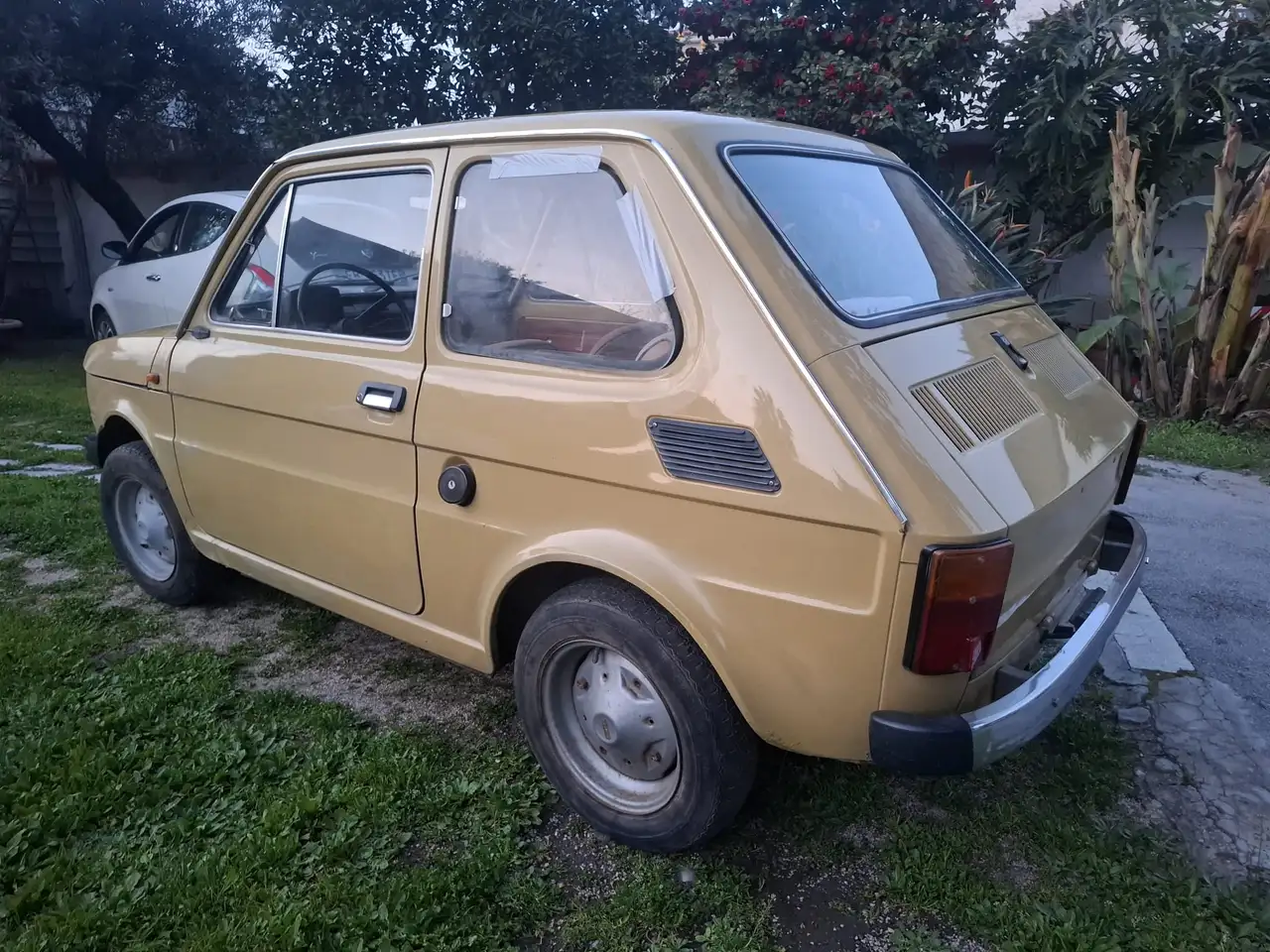 FIAT 126 Steinwinter FIGO 250L, foto 9