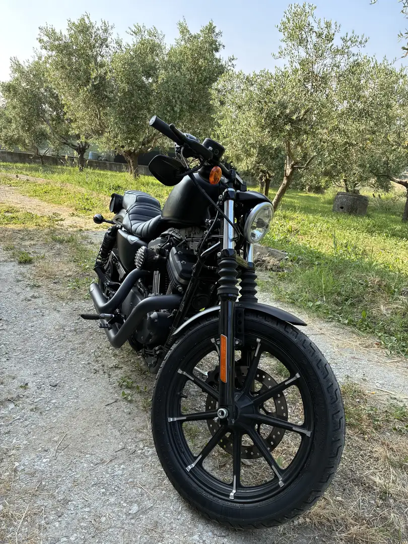 Harley-Davidson Iron 883 - 2