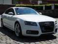 Audi A5 A5 2.0 TFSI Sportback - S-Line - B&O Weiß - thumbnail 3