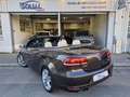 Volkswagen Eos 2.0 TDI 140 FAP BlueMotion Carat DSG6 Negro - thumbnail 6