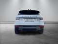 Land Rover Range Rover Evoque Evoque 2.0 Si4 SE +PANORAMA+DESIGN+ASSISTS+uvm. Weiß - thumbnail 10