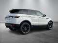 Land Rover Range Rover Evoque Evoque 2.0 Si4 SE +PANORAMA+DESIGN+ASSISTS+uvm. Bílá - thumbnail 12