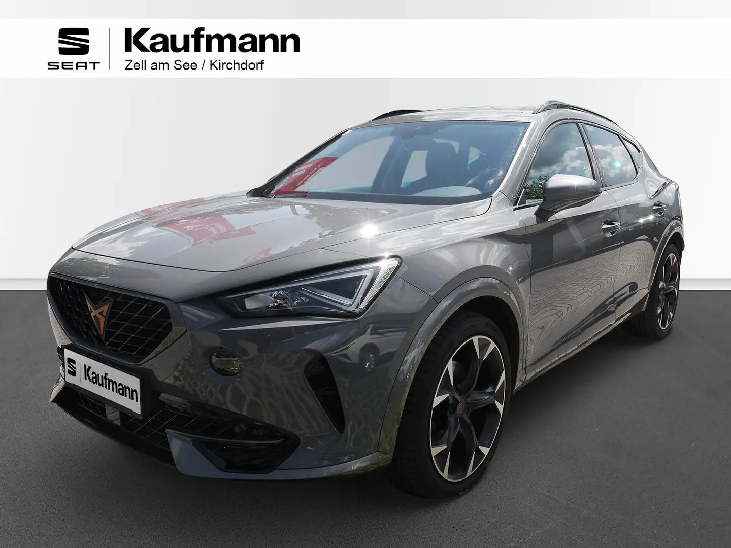 CUPRA Formentor Alpha 1.5 TSI 150 PS ACT Grau - 1