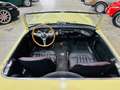 Austin-Healey 100 100/6 BN6 Amarillo - thumbnail 24
