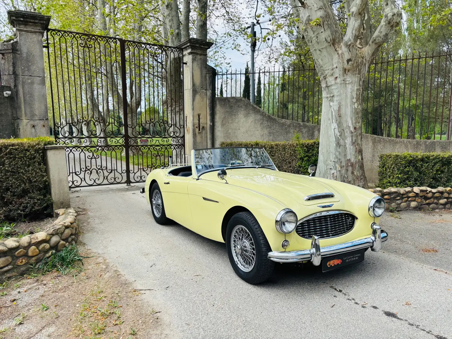 Austin-Healey 100 100/6 BN6 Galben - 1