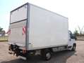 Fiat Ducato Kasten/€ 24.900,-netto/ Koffer Ladebordwand Weiß - thumbnail 6