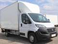 Fiat Ducato Kasten/€ 24.900,-netto/ Koffer Ladebordwand Weiß - thumbnail 3