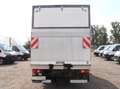 Fiat Ducato Kasten/€ 24.900,-netto/ Koffer Ladebordwand Weiß - thumbnail 5