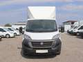 Fiat Ducato Kasten/€ 24.900,-netto/ Koffer Ladebordwand Weiß - thumbnail 2