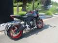 Triumph Trident 660 Triple Tribute - Sofort Verfügbar!!! Noir - thumbnail 9