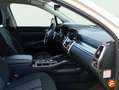 Kia Sorento 1.6 T-GDi HEV Drive 4x2 Blanco - thumbnail 14