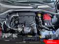 Fiat Tipo Tipo 5p 1.0 t3 100cv Grau - thumbnail 23
