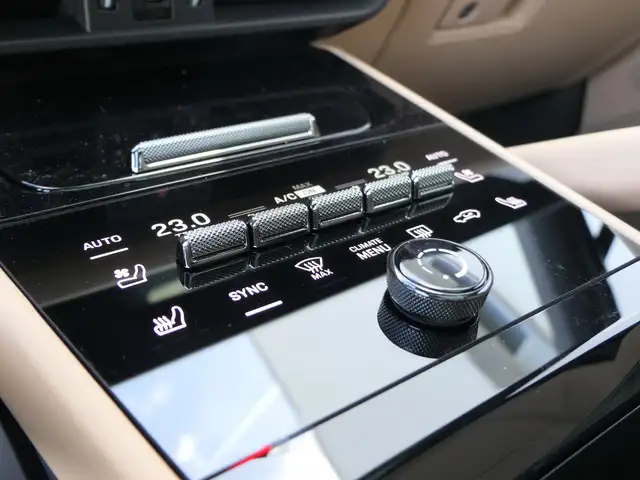 Porsche Cayenne view 13