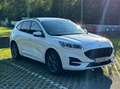 Ford Kuga 1,5 EcoBlue ST-Line X Weiß - thumbnail 7