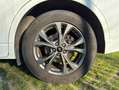 Ford Kuga 1,5 EcoBlue ST-Line X Weiß - thumbnail 36