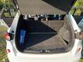 Ford Kuga 1,5 EcoBlue ST-Line X Weiß - thumbnail 19