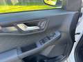 Ford Kuga 1,5 EcoBlue ST-Line X Weiß - thumbnail 12
