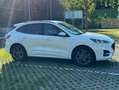 Ford Kuga 1,5 EcoBlue ST-Line X Weiß - thumbnail 32