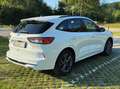 Ford Kuga 1,5 EcoBlue ST-Line X Weiß - thumbnail 6