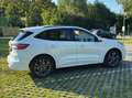 Ford Kuga 1,5 EcoBlue ST-Line X Weiß - thumbnail 31