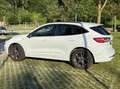 Ford Kuga 1,5 EcoBlue ST-Line X Weiß - thumbnail 3