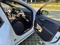 Ford Kuga 1,5 EcoBlue ST-Line X Weiß - thumbnail 21