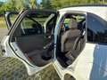 Ford Kuga 1,5 EcoBlue ST-Line X Weiß - thumbnail 23