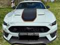 Ford Mustang Mustang Fastback 5.0 Ti-VCT V8 Aut. MACH1 Weiß - thumbnail 1